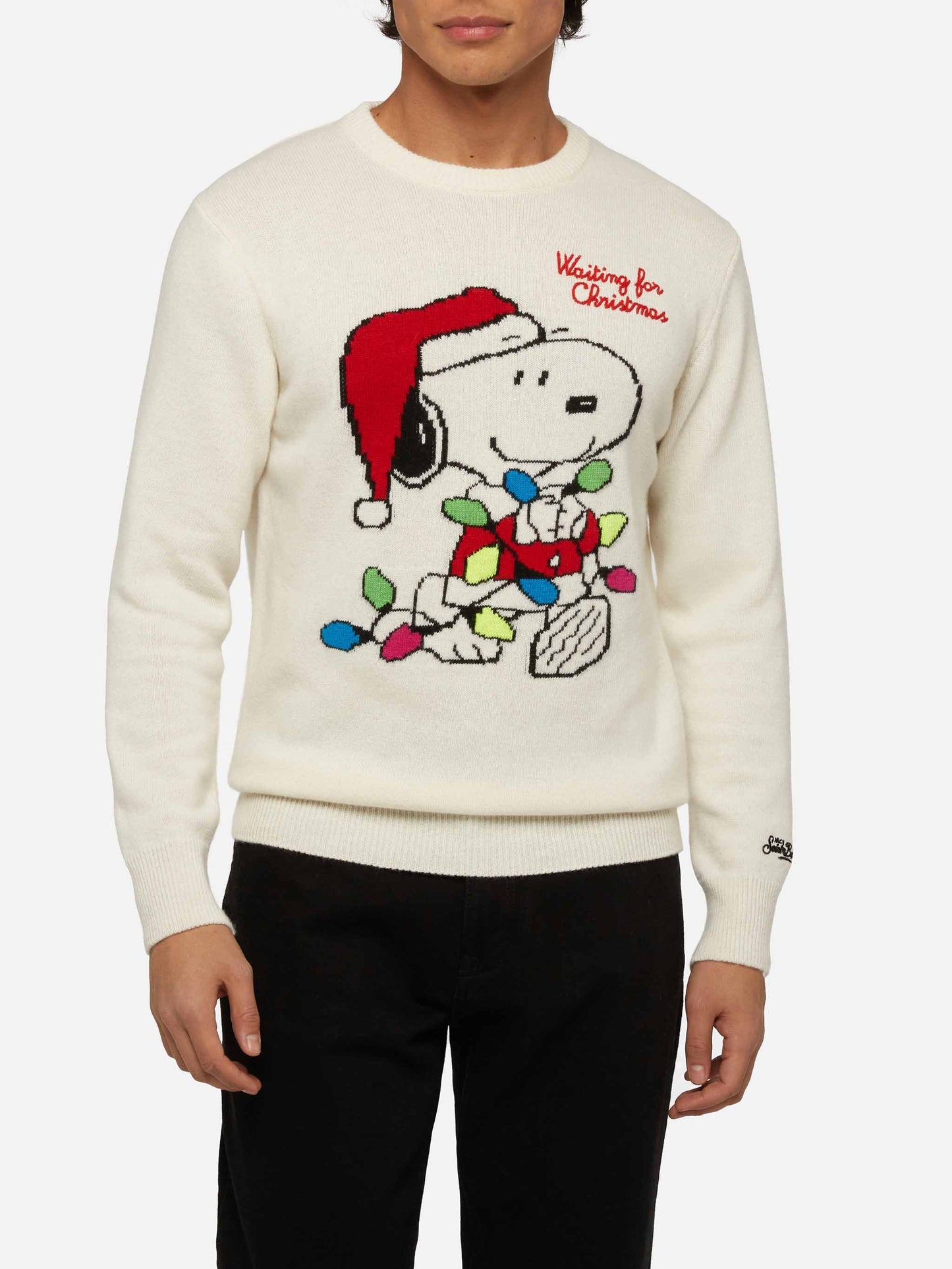 Sweater Heron with Snoopy jacquard and embroidery | SNOOPY PEANUTS® SPECIAL EDITION